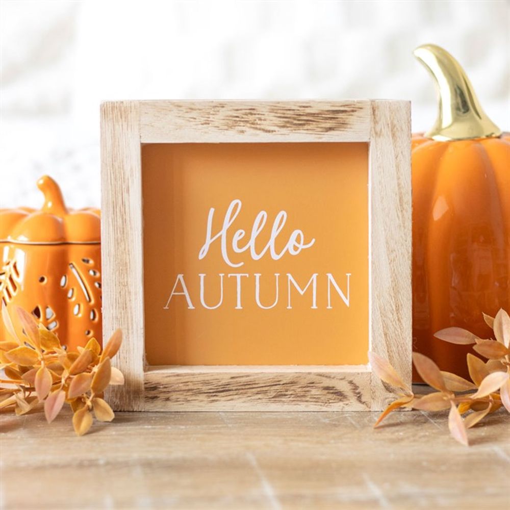 Orange Hello Autumn Wooden Frame Sign