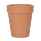 Bloom Where You Are Planted Terracotta Plant Pot