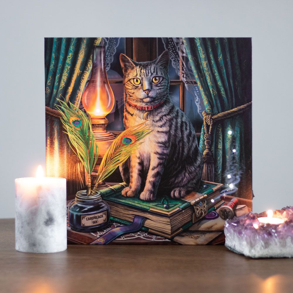 Book of Shadows Light Up Canvas Plaque by Lisa Parker